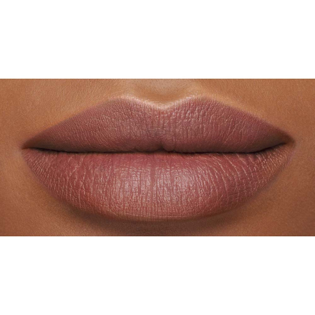 POWERMATTE LIP PIGMENT