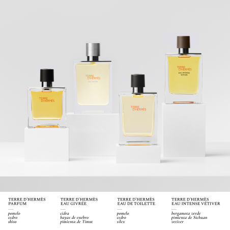 TERRE D'HERMÈS PARFUM