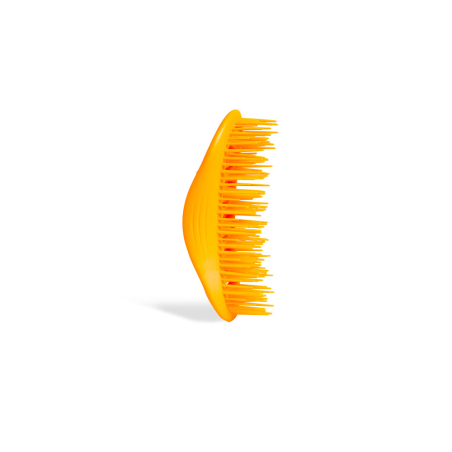 Idc Institute Neon Detangler Brush