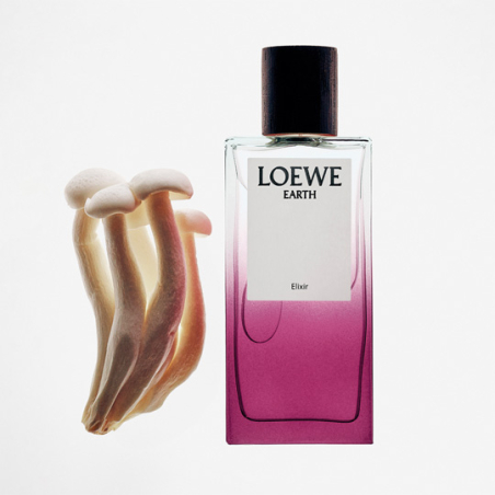 Comprar Online Loewe Earth Elixir | Perfumería Júlia