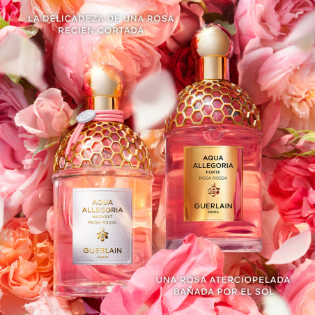 AQUA ALLEGORIA HARVEST ROSA ROSSA VETIVER EAU DE TOILETTE EDICIÓN LIMITADA