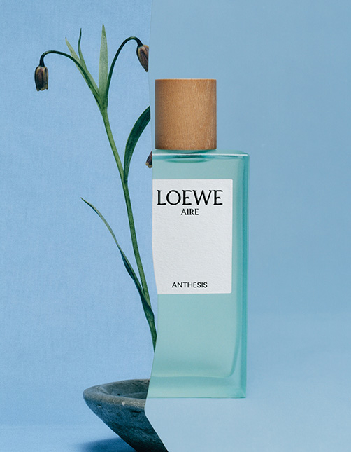 Aire de verona discount aquamarine by loewe